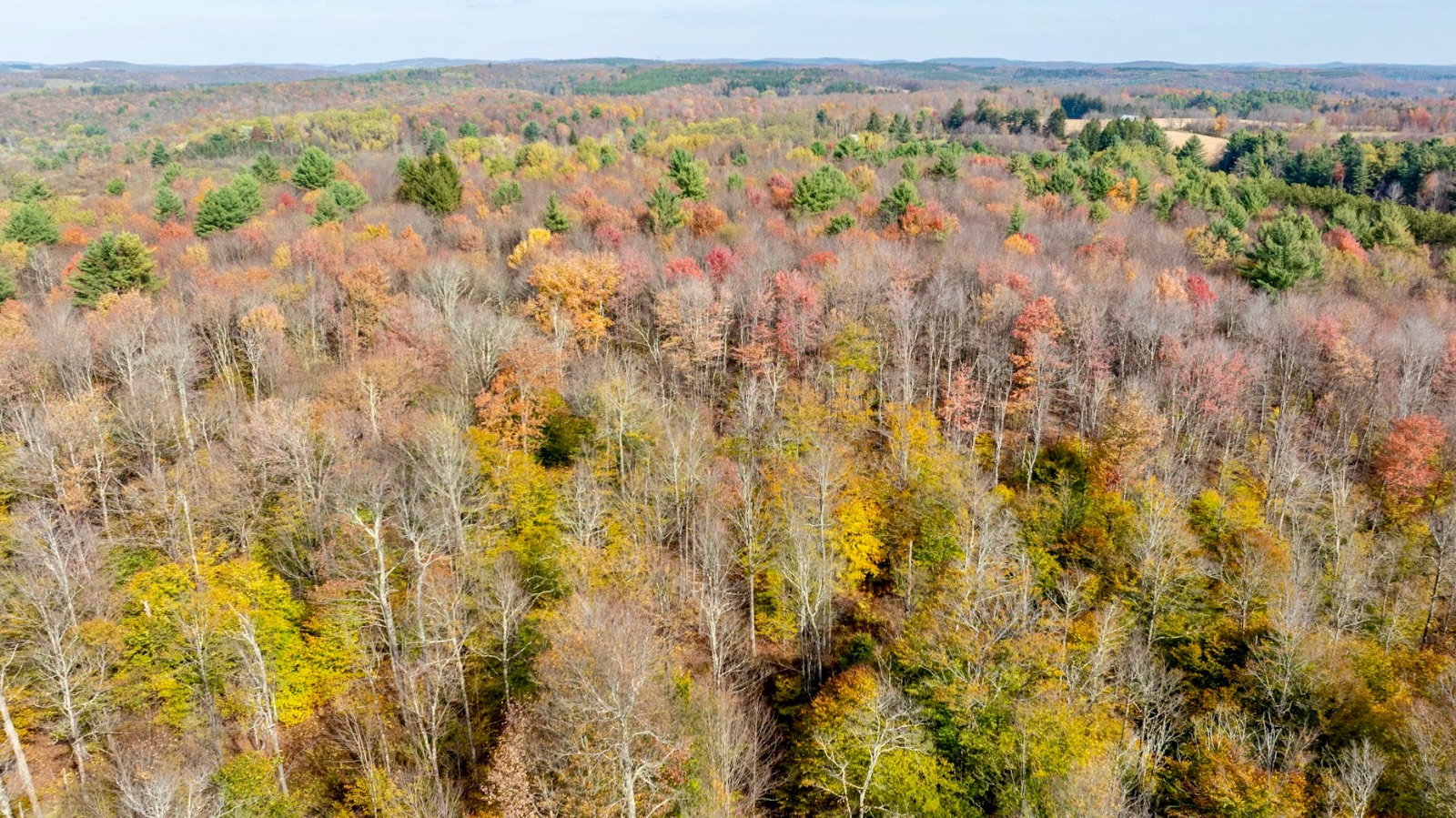 #31 photo, 0 Co Hwy 14, New Lisbon , NY 13810