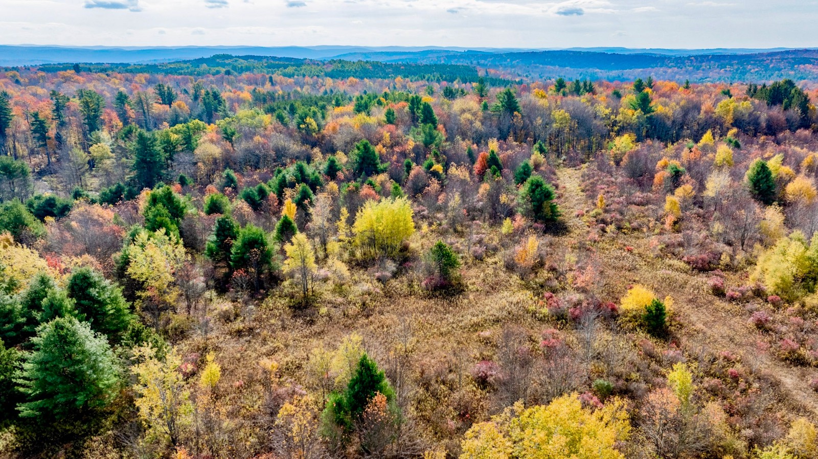 #32 photo, 0 Co Hwy 14, New Lisbon , NY 13810