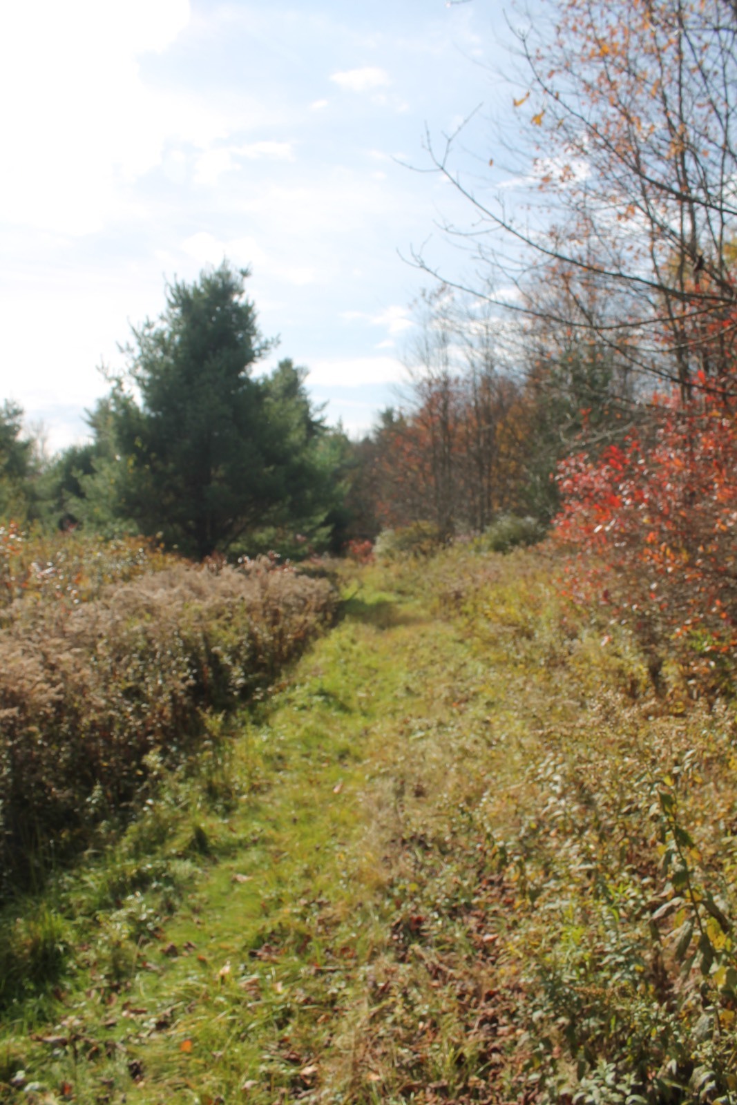 #4 photo, 0 Co Hwy 14, New Lisbon , NY 13810