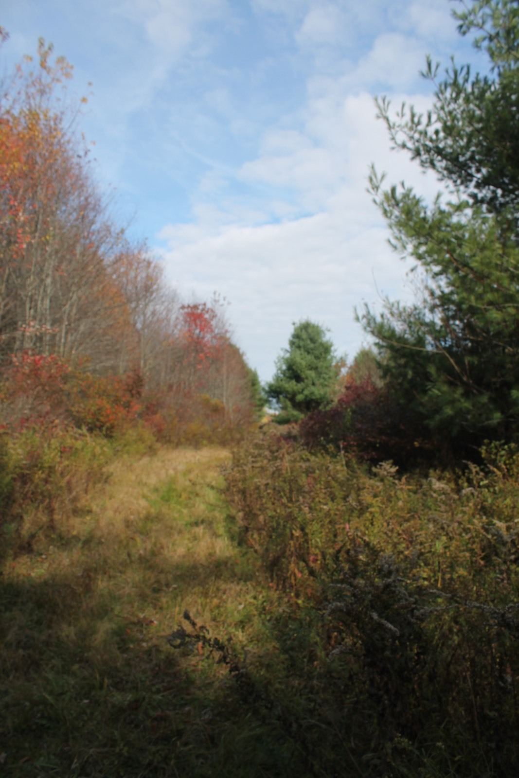 #5 photo, 0 Co Hwy 14, New Lisbon , NY 13810