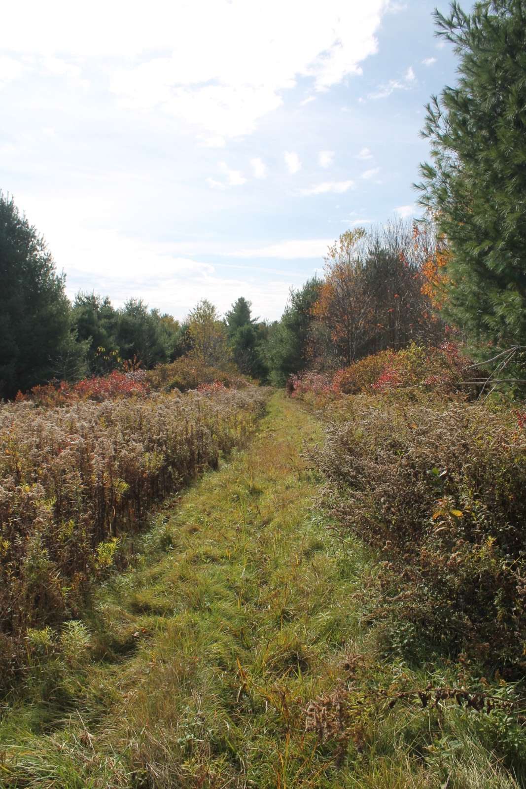 #6 photo, 0 Co Hwy 14, New Lisbon , NY 13810