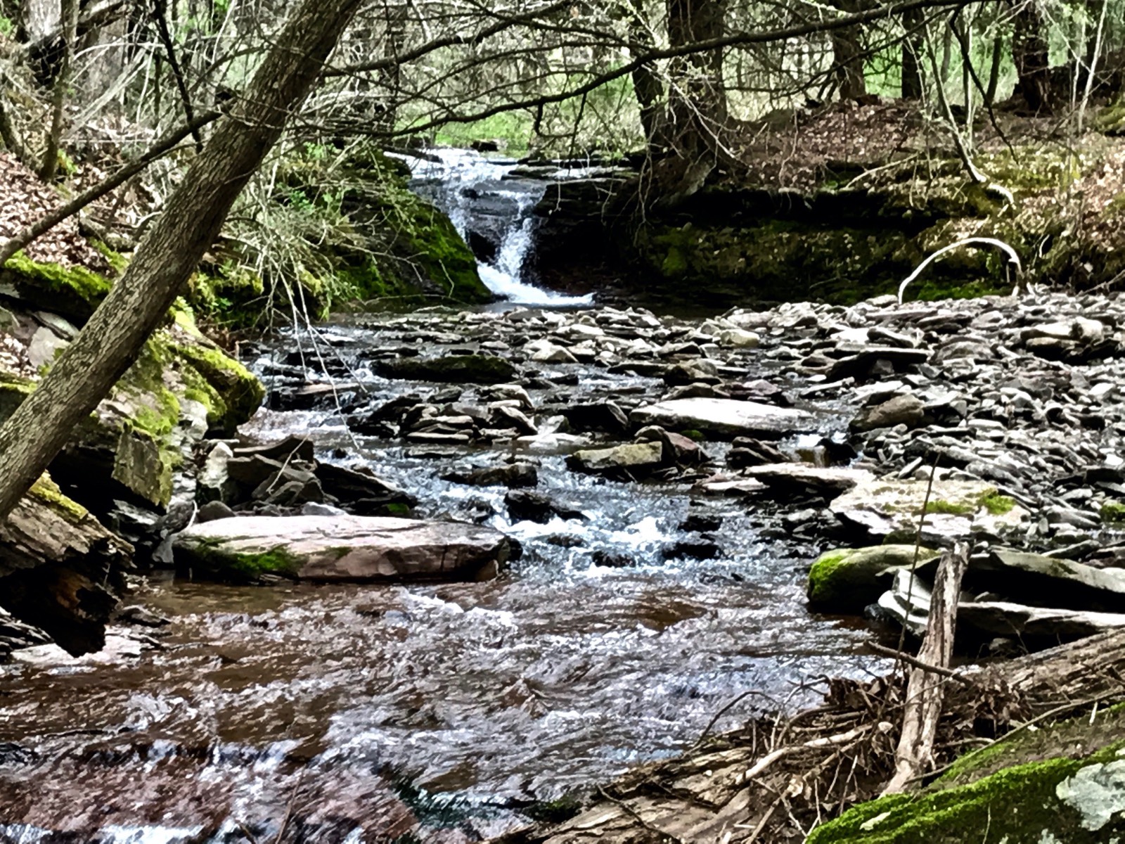 #8 photo, 0 Co Hwy 14, New Lisbon , NY 13810