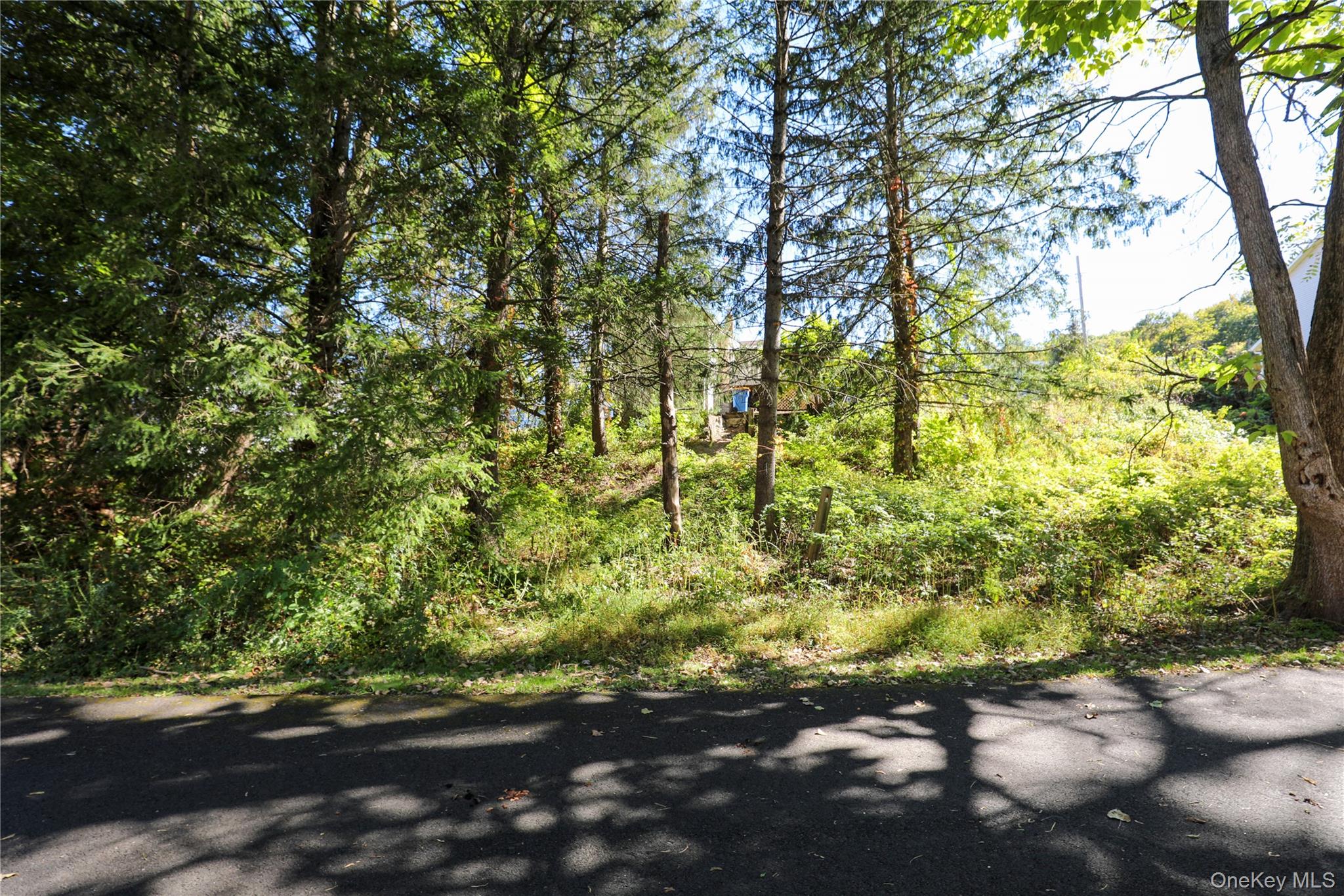 #2 photo, 99 Gross Street, Kingston , NY 12401