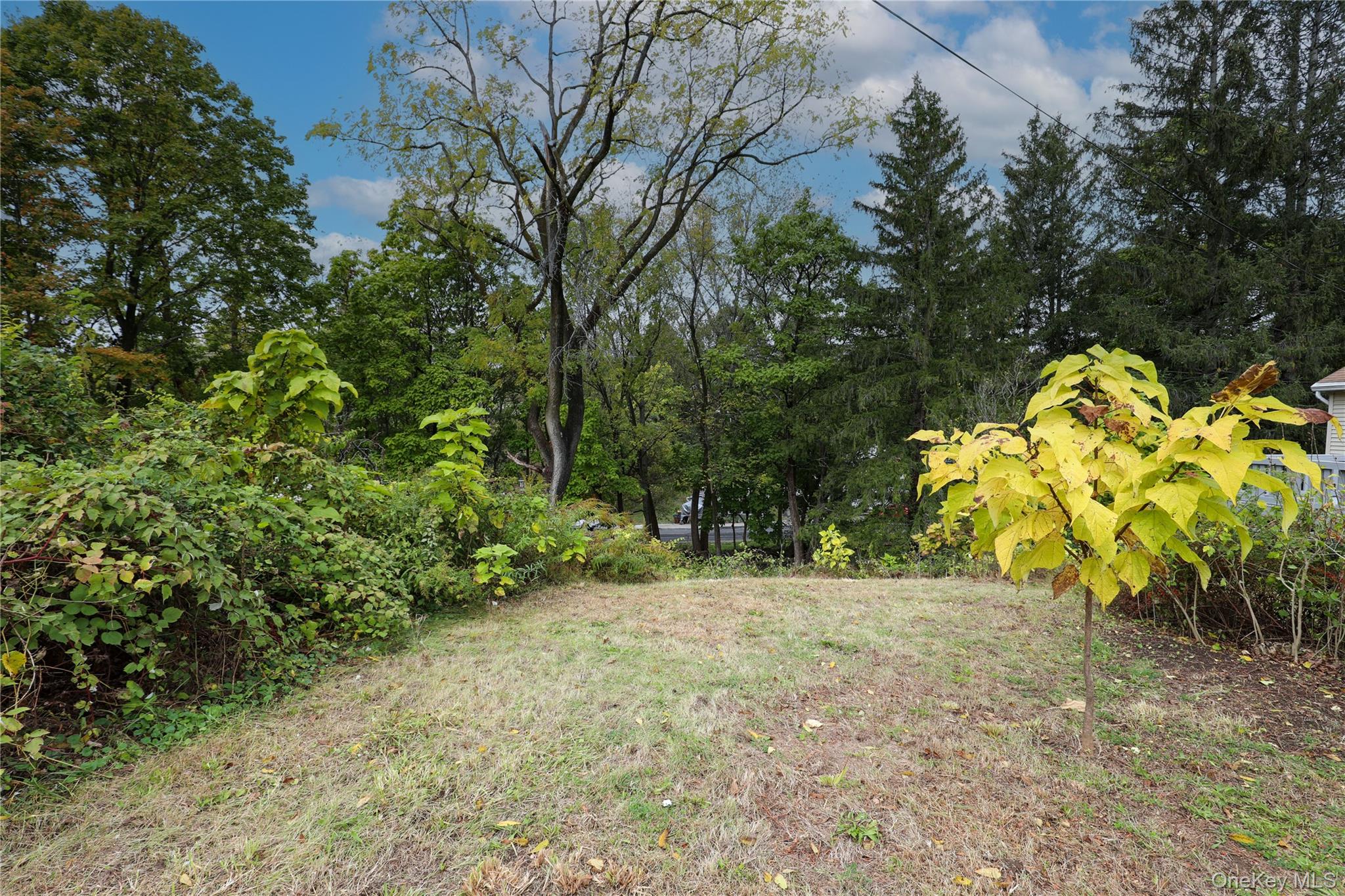 #5 photo, 99 Gross Street, Kingston , NY 12401