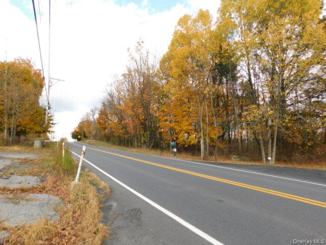 #9 photo, 247 Plattekill Ardonia Road, Wallkill , NY 12589