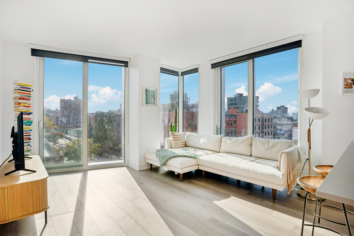 #4 photo, 240 3RD Avenue, ブルックリン区 Gowanus , NY 11215