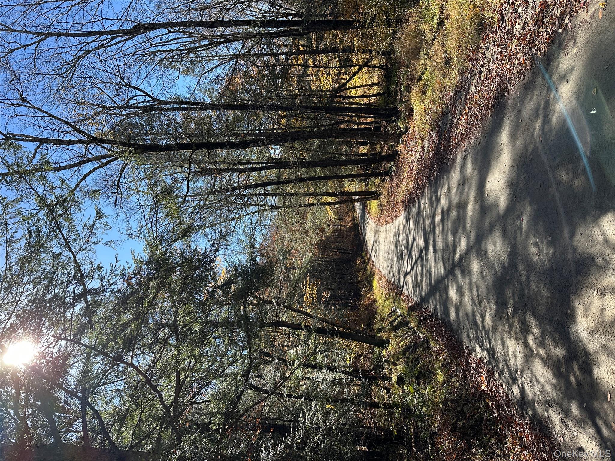 #1 photo, 24 Mud Pond Road, Livingston Manor , NY 12758