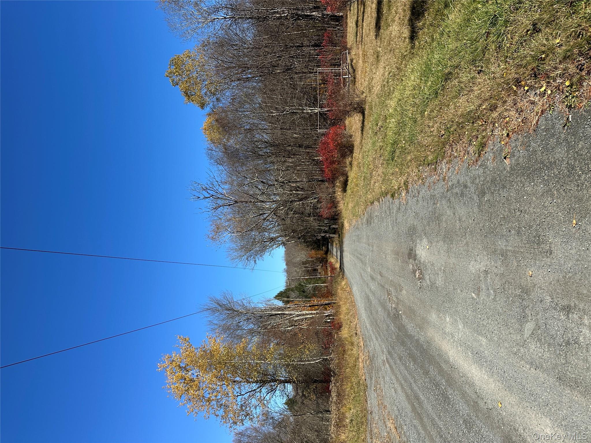 #10 photo, 24 Mud Pond Road, Livingston Manor , NY 12758