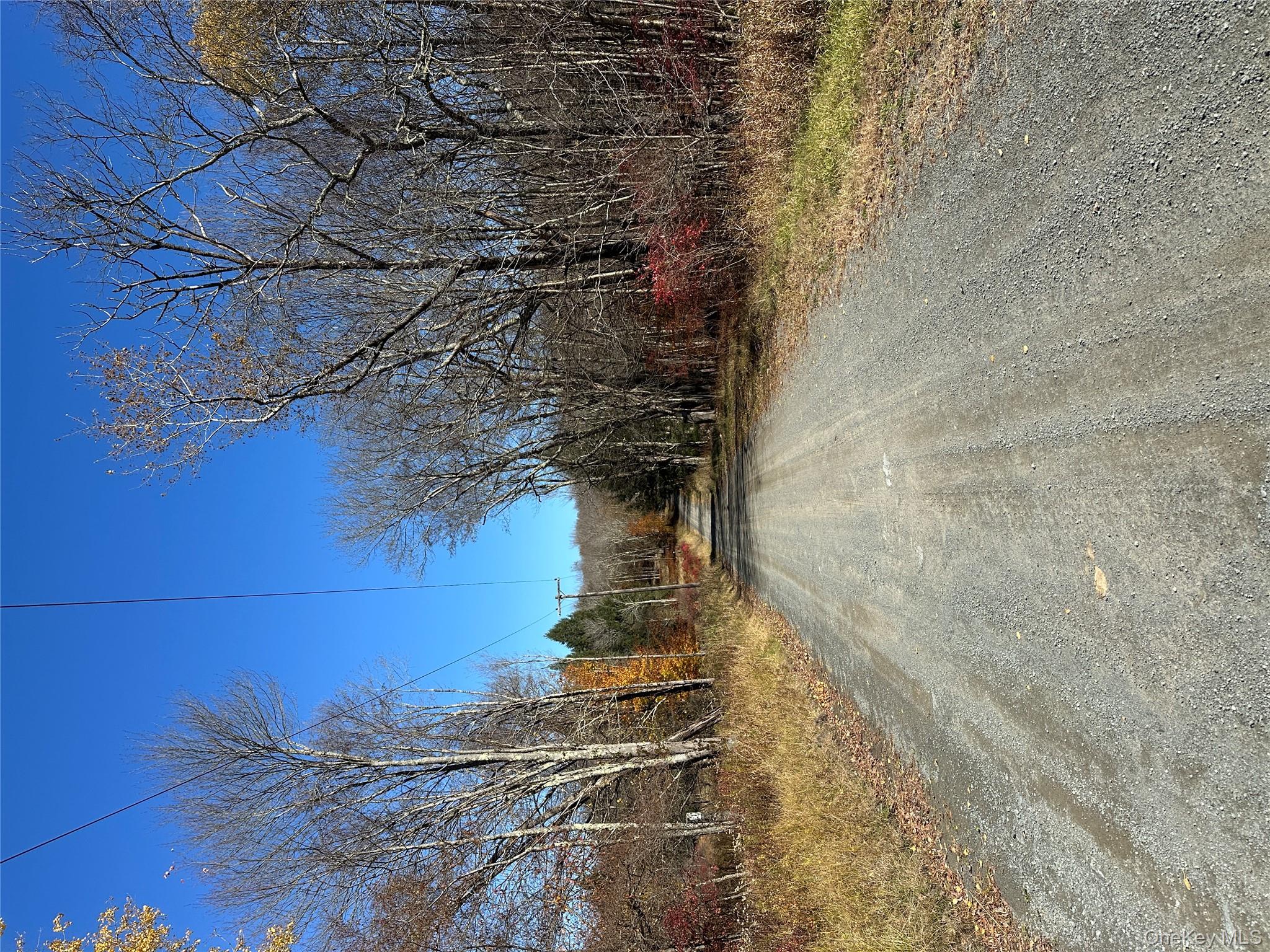 #11 photo, 24 Mud Pond Road, Livingston Manor , NY 12758