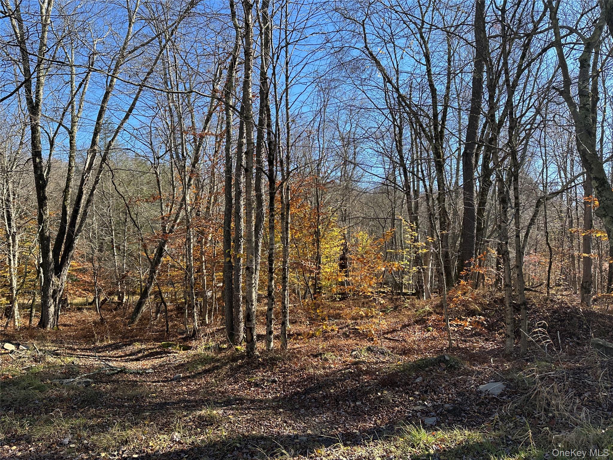 #13 photo, 24 Mud Pond Road, Livingston Manor , NY 12758