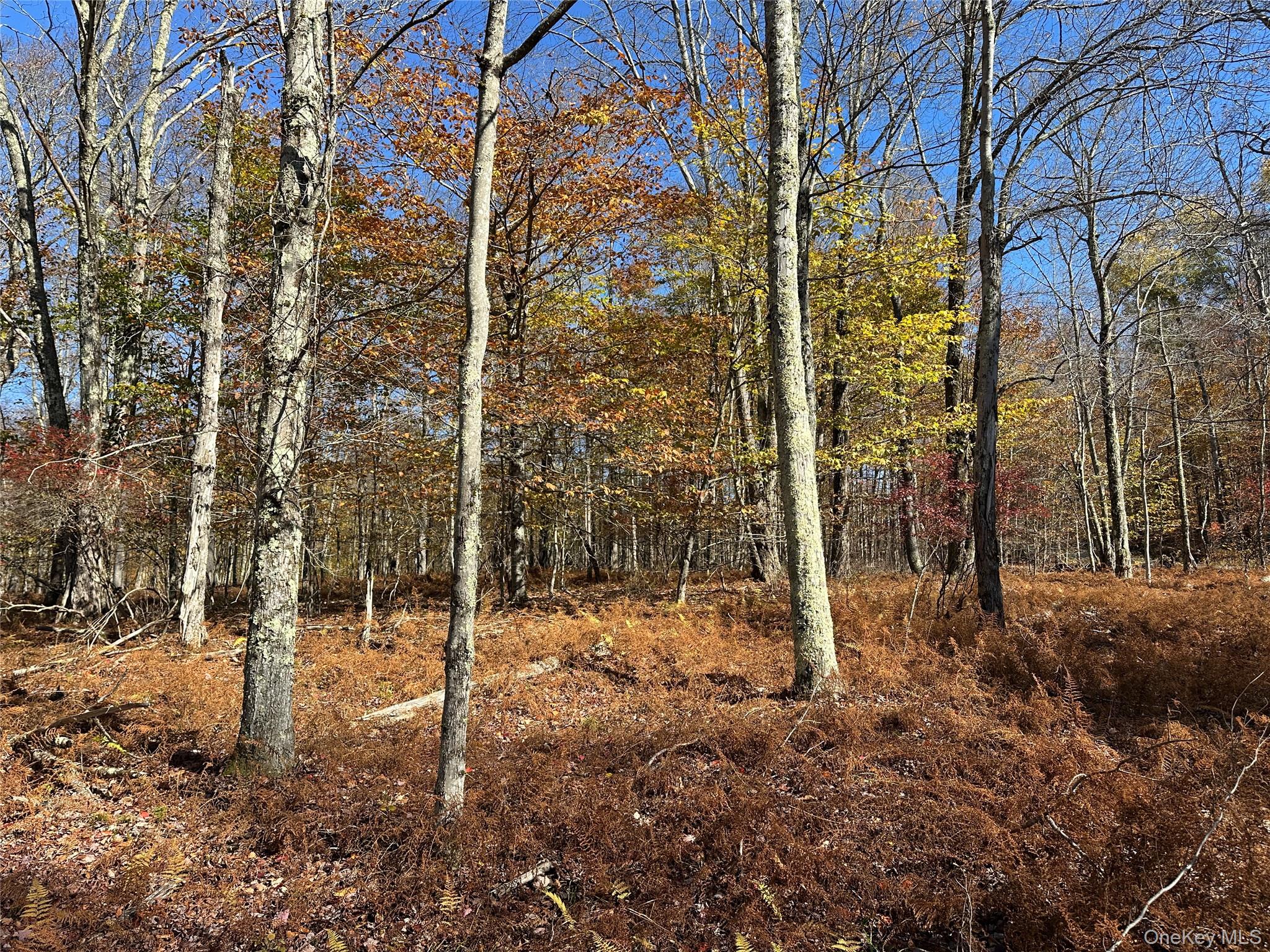 #16 photo, 24 Mud Pond Road, Livingston Manor , NY 12758