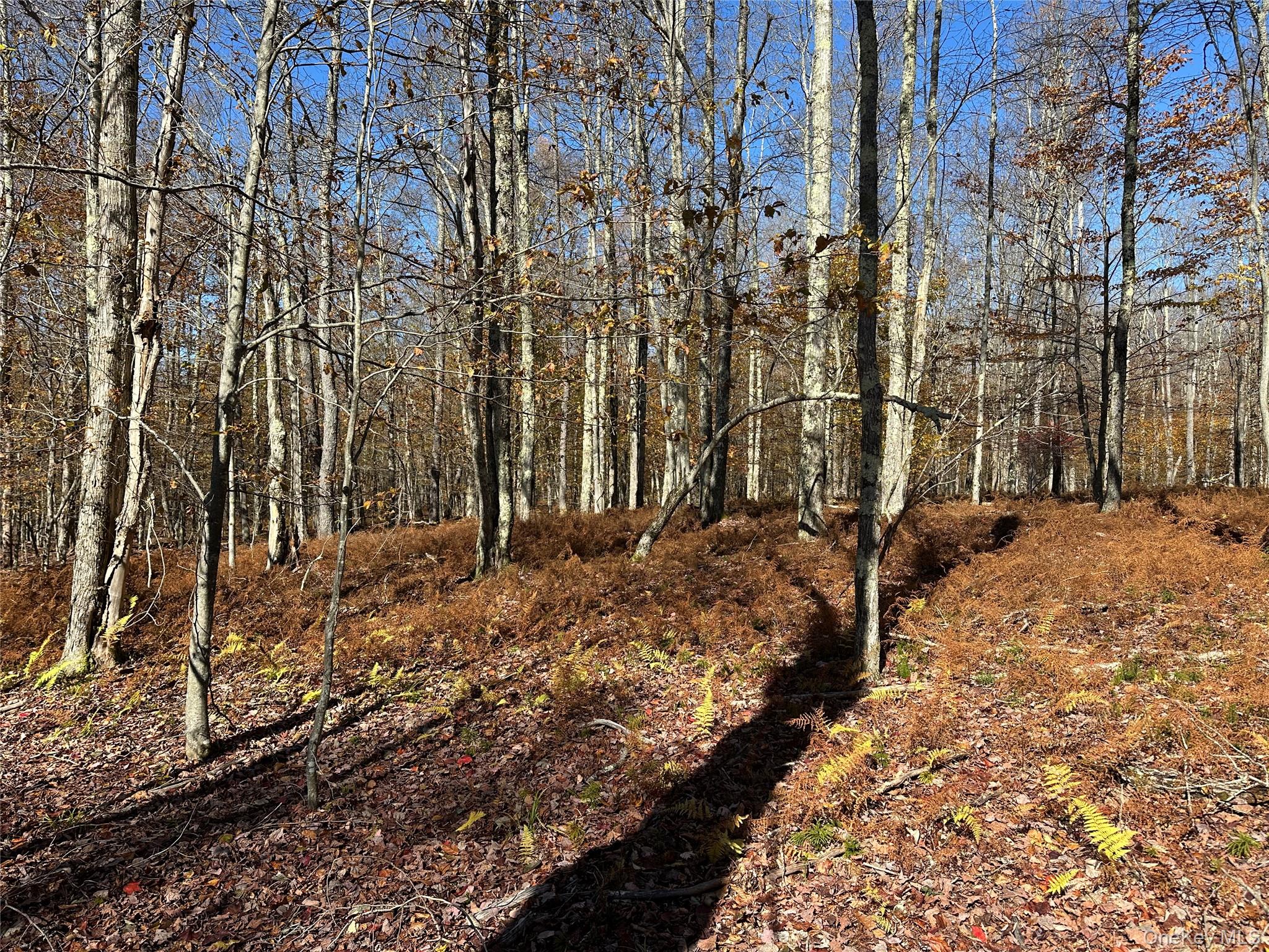 #17 photo, 24 Mud Pond Road, Livingston Manor , NY 12758