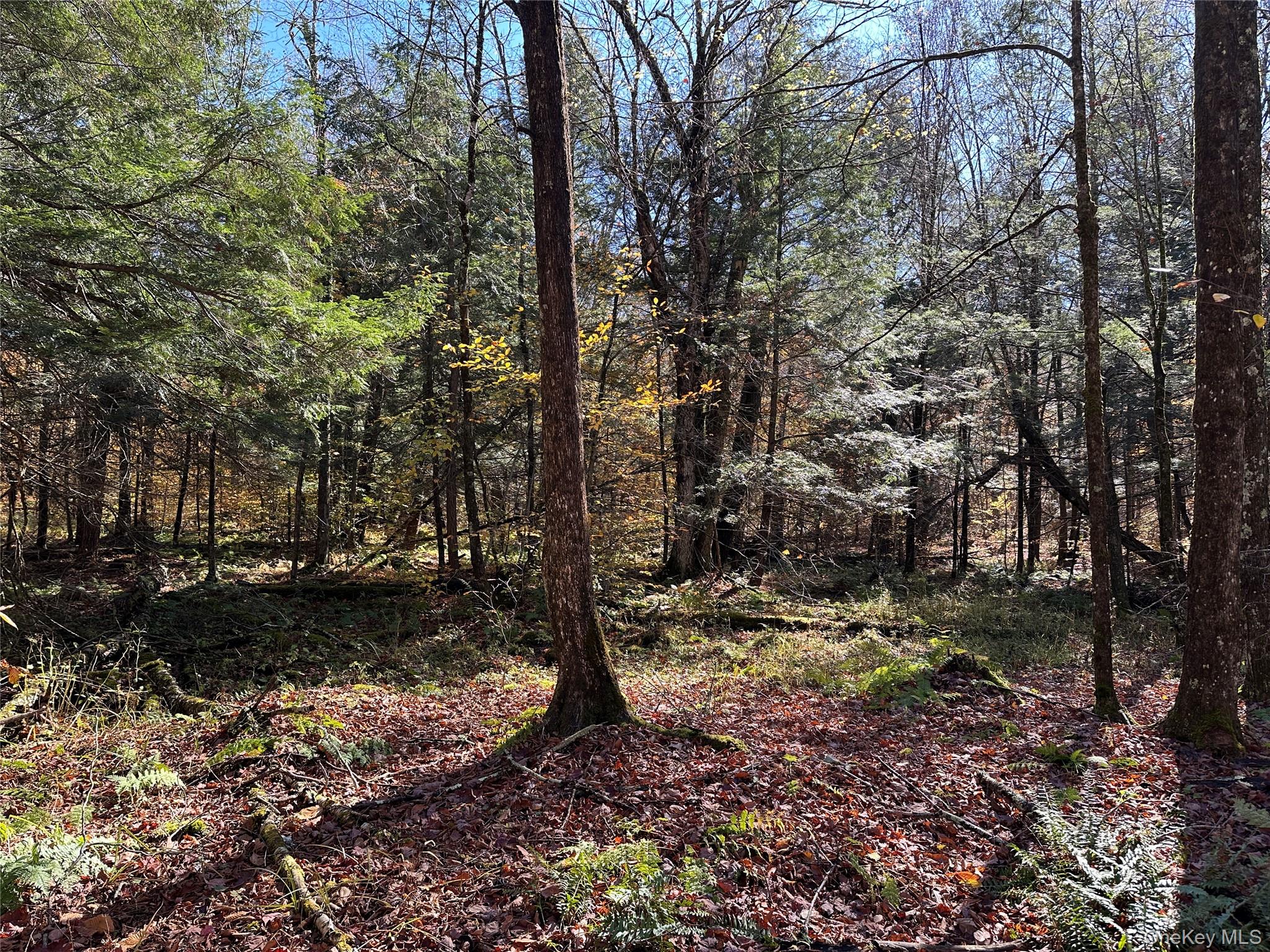 #3 photo, 24 Mud Pond Road, Livingston Manor , NY 12758