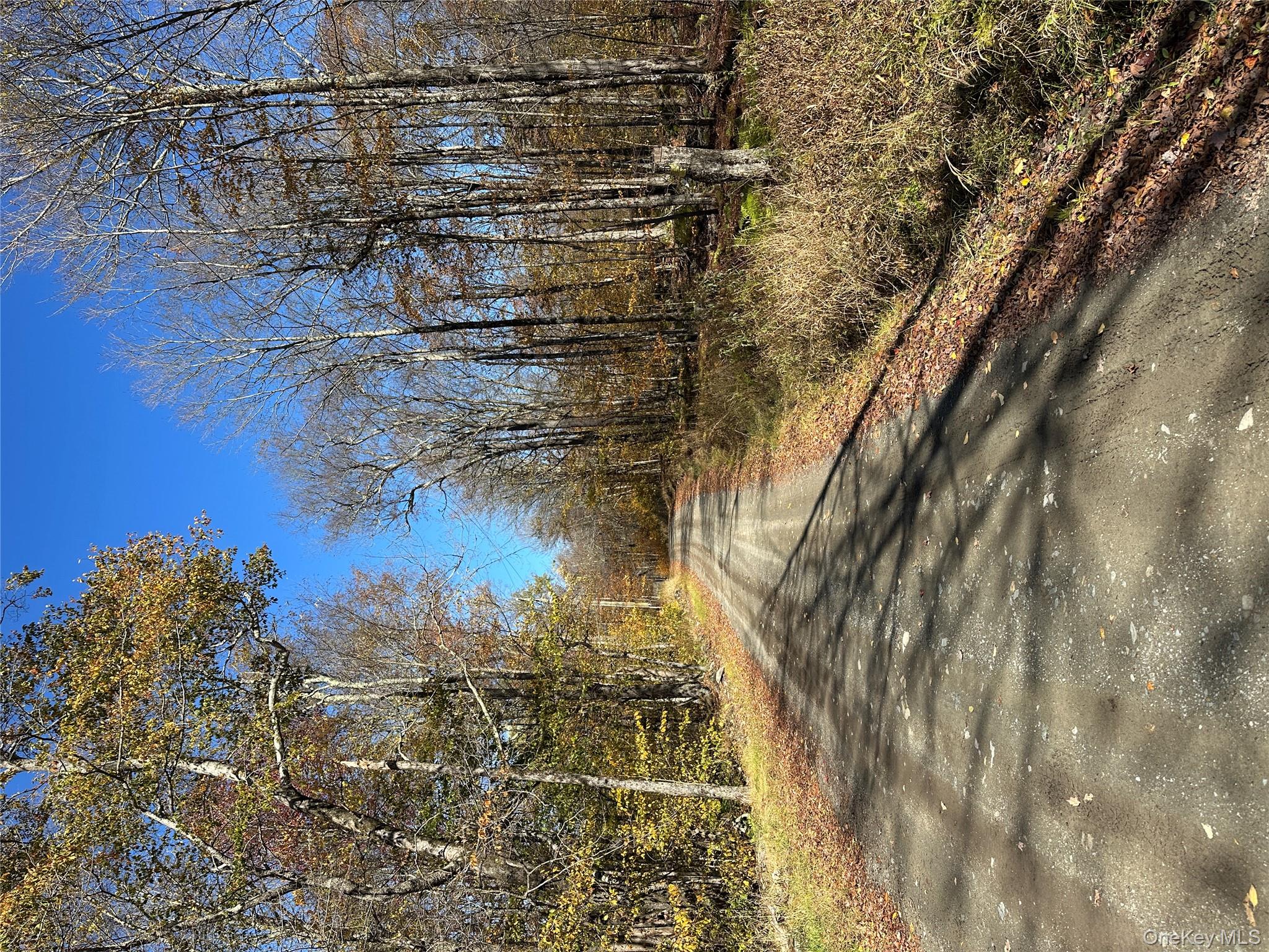 #4 photo, 24 Mud Pond Road, Livingston Manor , NY 12758