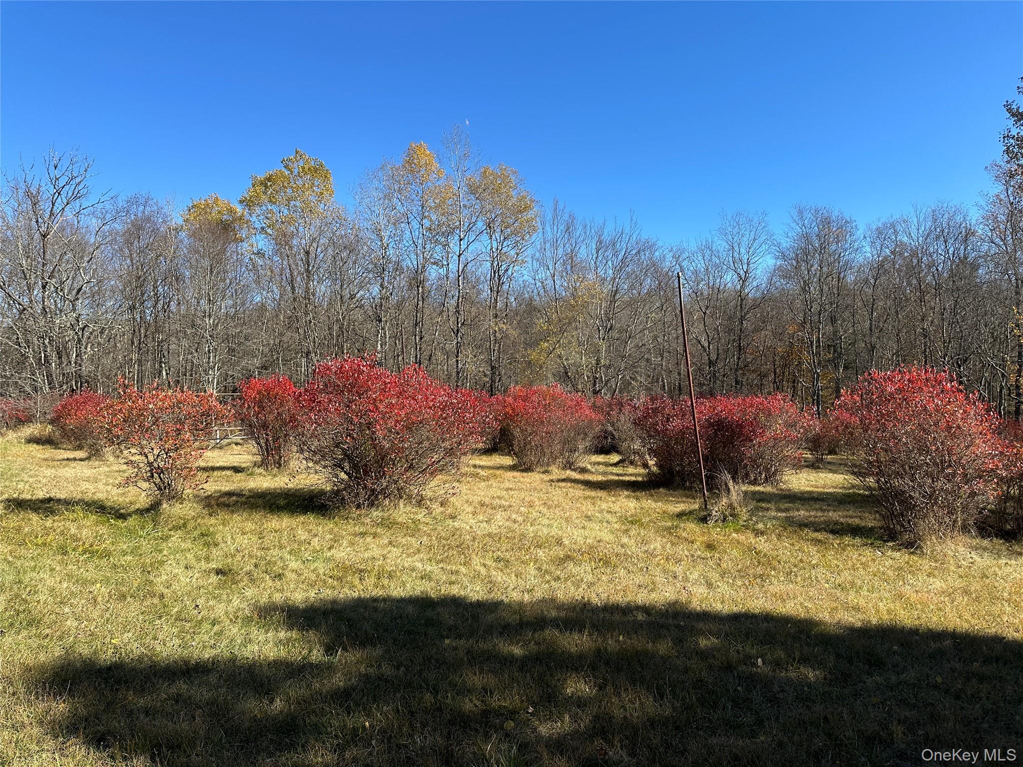 #9 photo, 24 Mud Pond Road, Livingston Manor , NY 12758