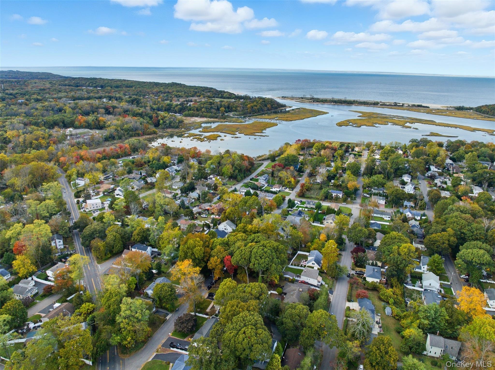 #16 photo, 58 Orchid Drive, サフォーク郡 Kings Park , NY 11754