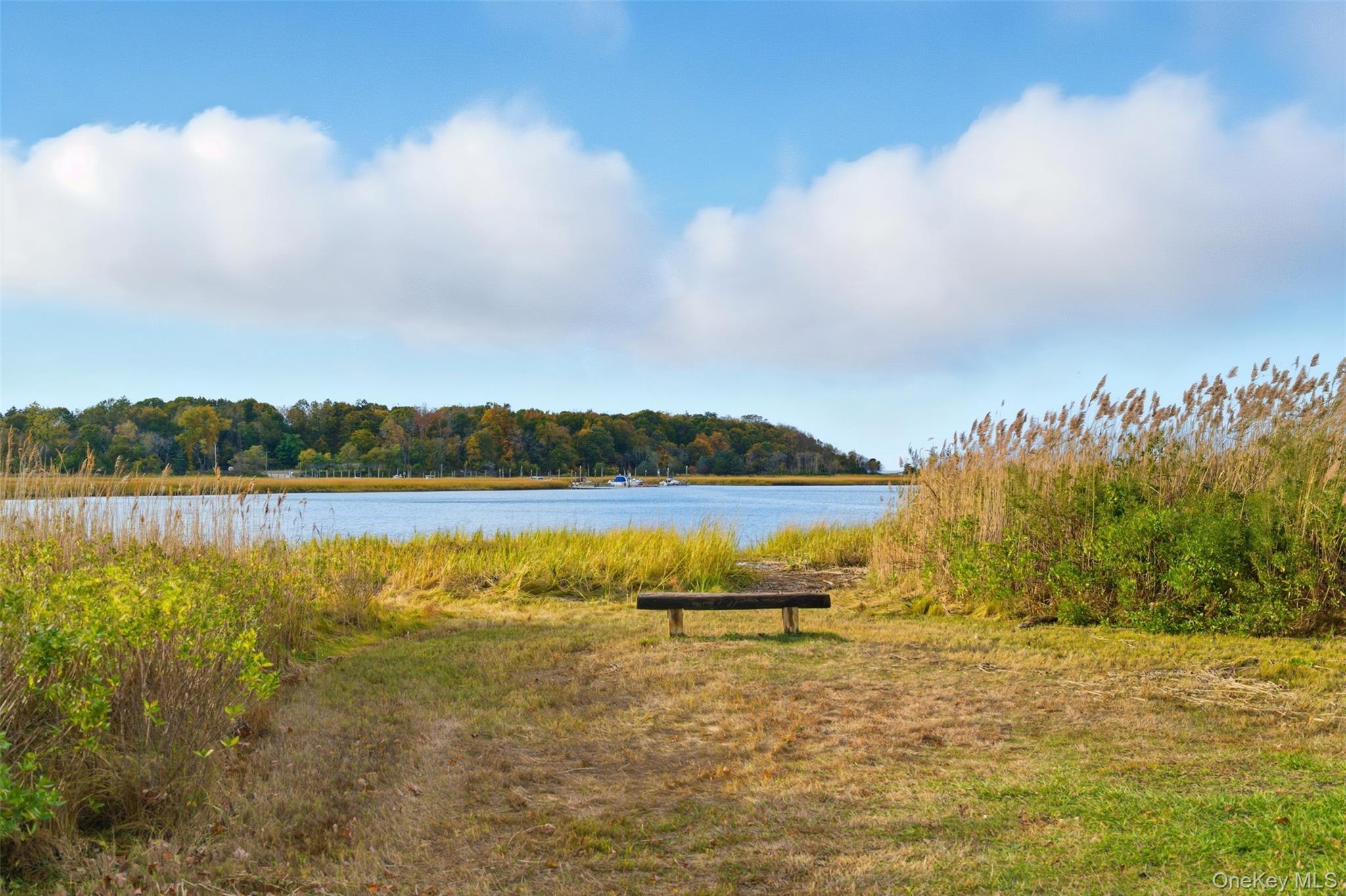 #18 photo, 58 Orchid Drive, サフォーク郡 Kings Park , NY 11754