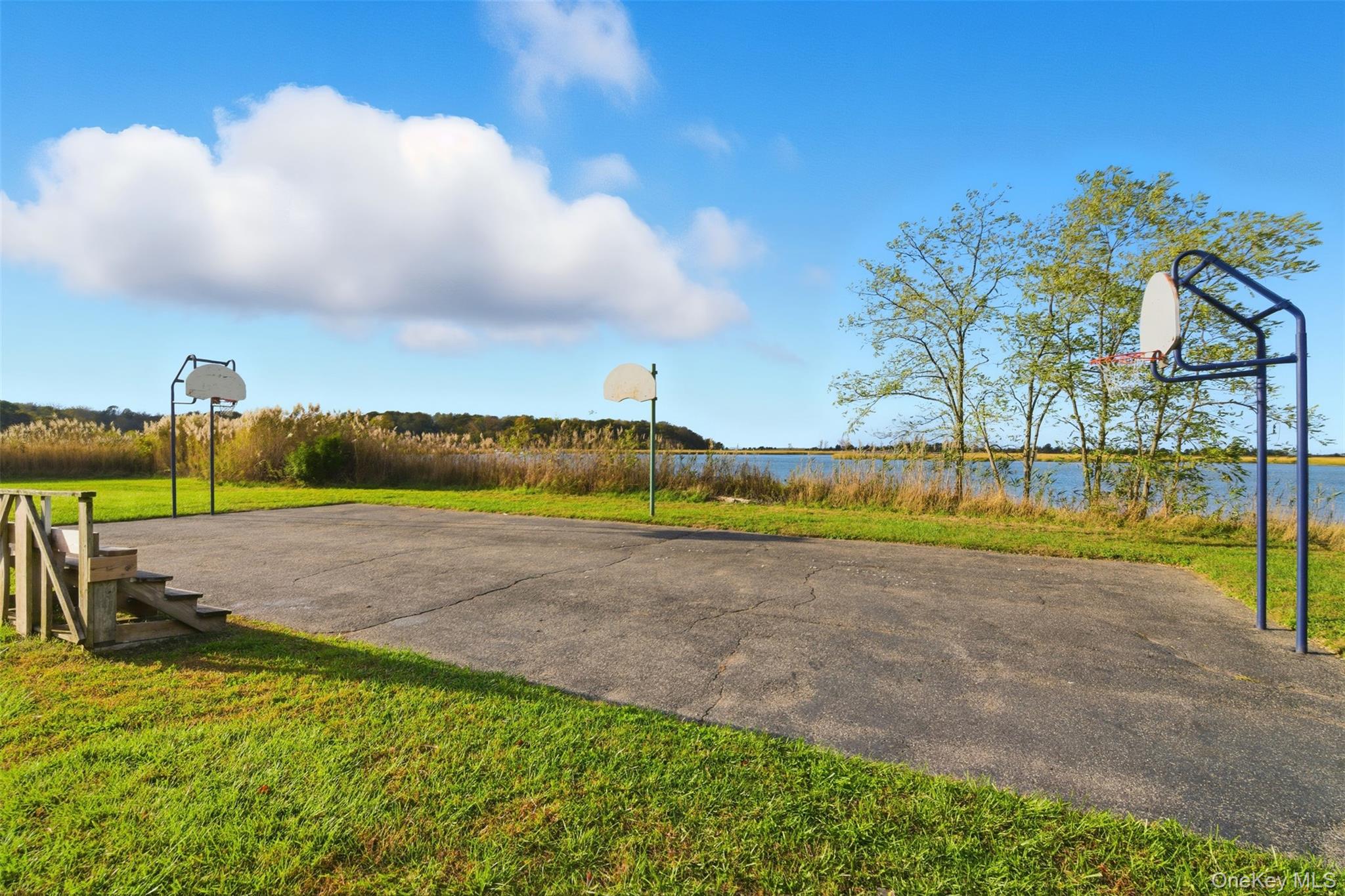 #19 photo, 58 Orchid Drive, サフォーク郡 Kings Park , NY 11754