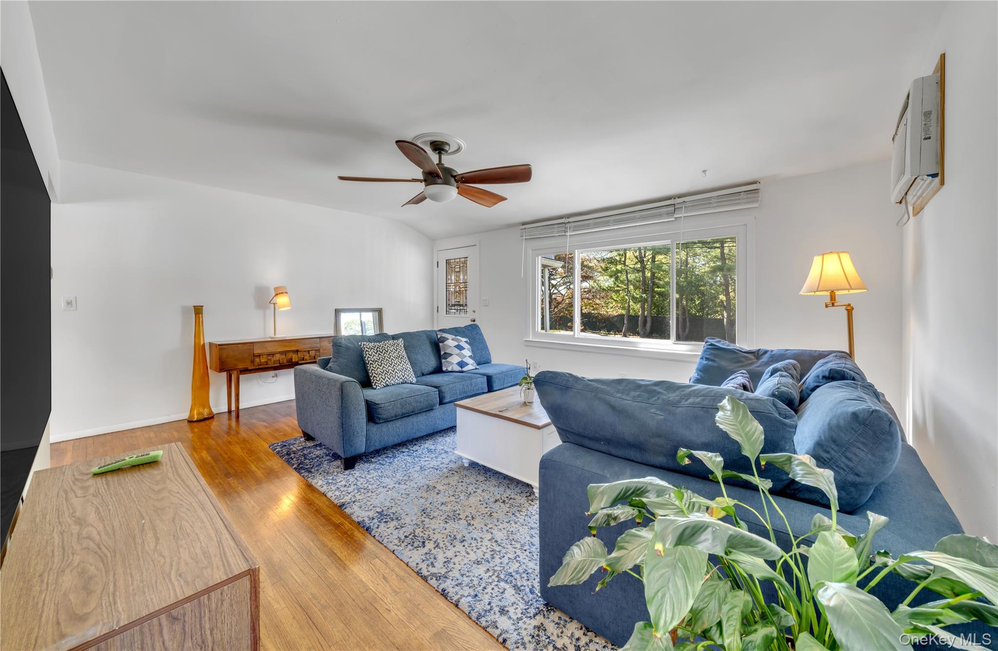 #4 photo, 102 Lafayette Street, サフォーク郡 Copiague , NY 11726