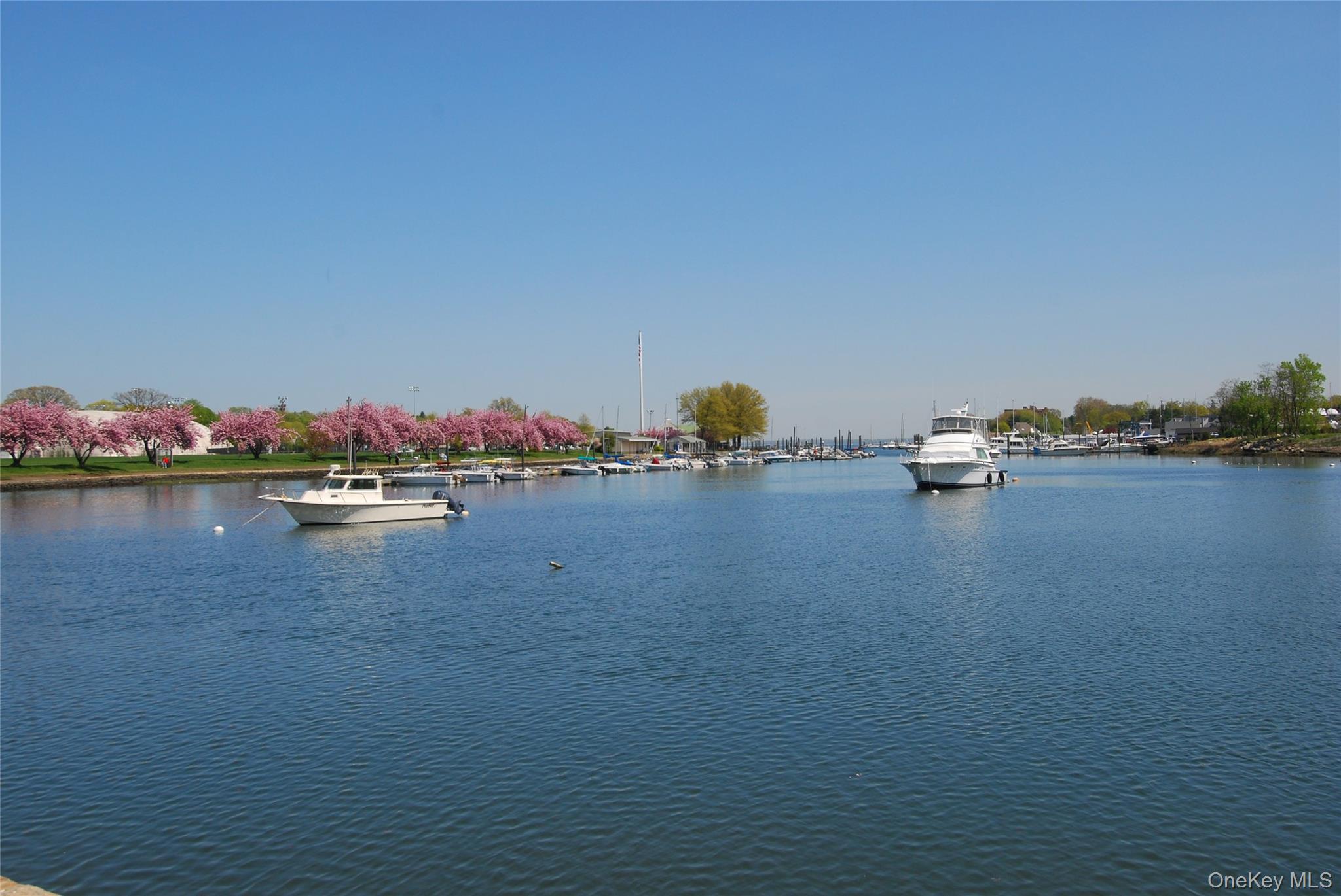 #18 photo, 251 Mount Pleasant Avenue, Mamaroneck , NY 10543