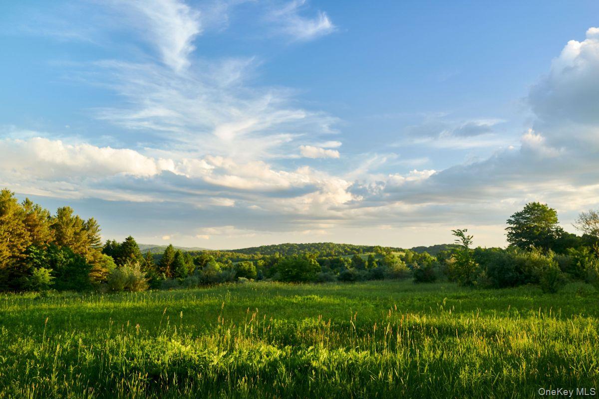 #18 photo, 611 Martindale Road, Craryville , NY 12521