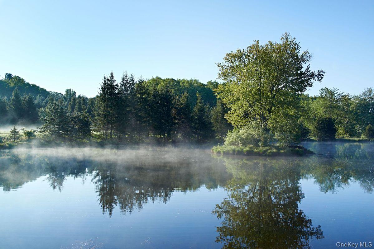 #14 photo, 611 Martindale Road, Craryville , NY 12521