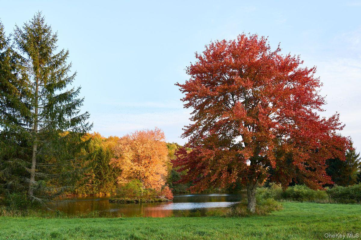 #5 photo, 611 Martindale Road, Craryville , NY 12521