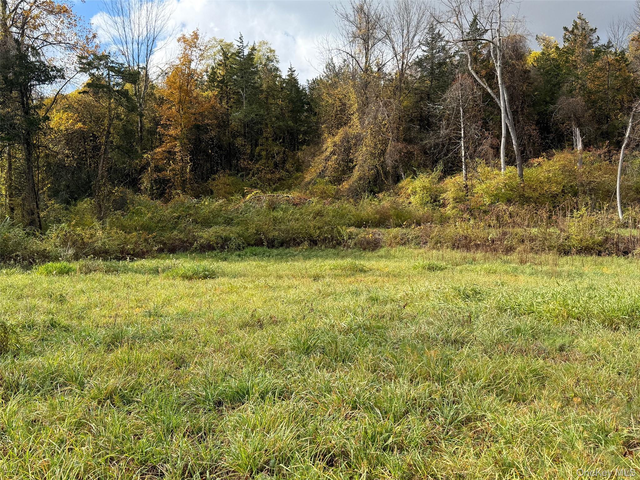 #3 photo, Lakeside Drive, Millerton , NY 12546