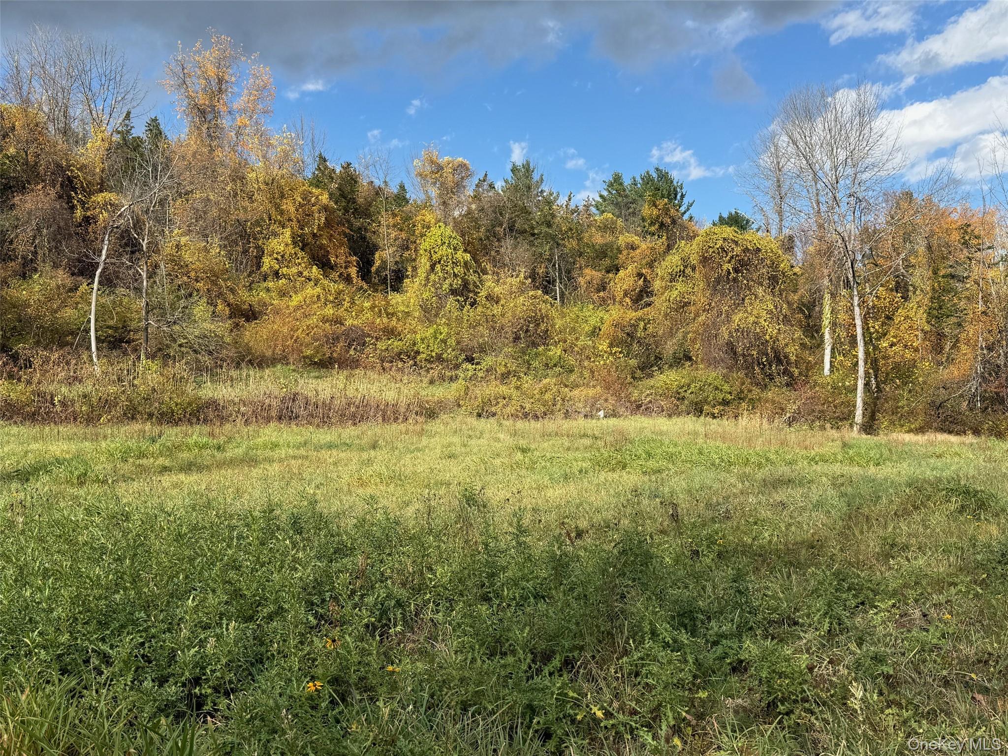 #4 photo, Lakeside Drive, Millerton , NY 12546