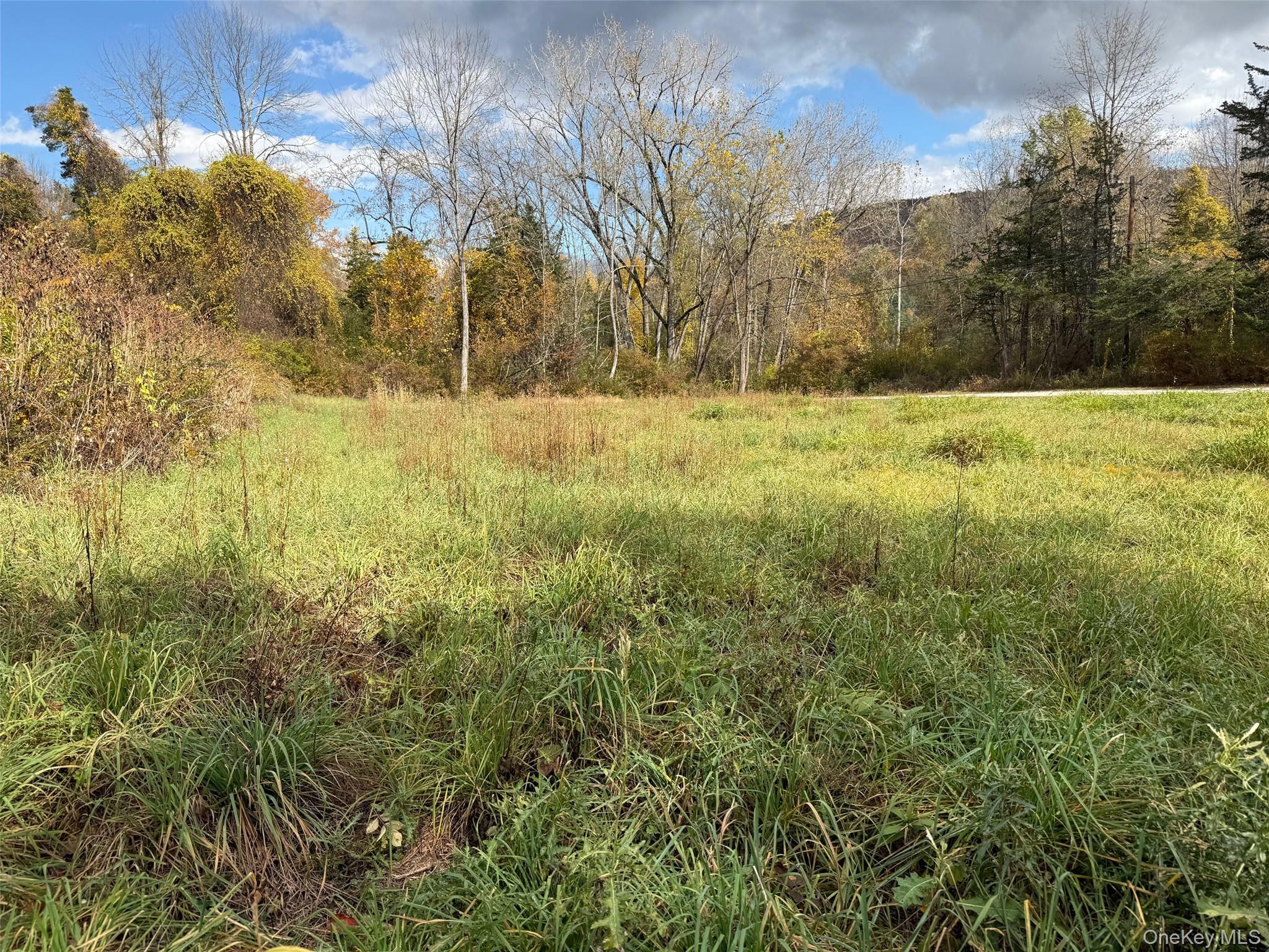 #5 photo, Lakeside Drive, Millerton , NY 12546