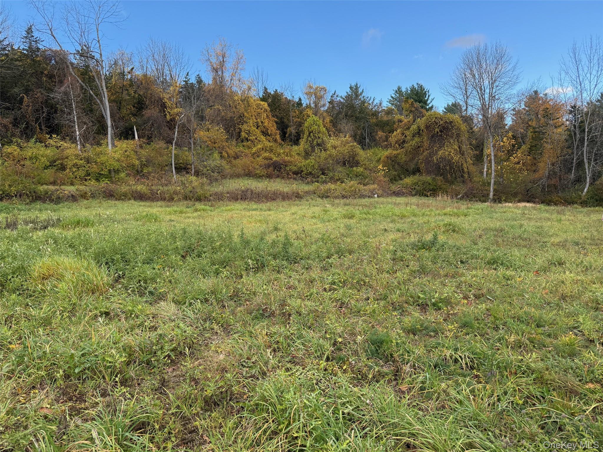 #8 photo, Lakeside Drive, Millerton , NY 12546