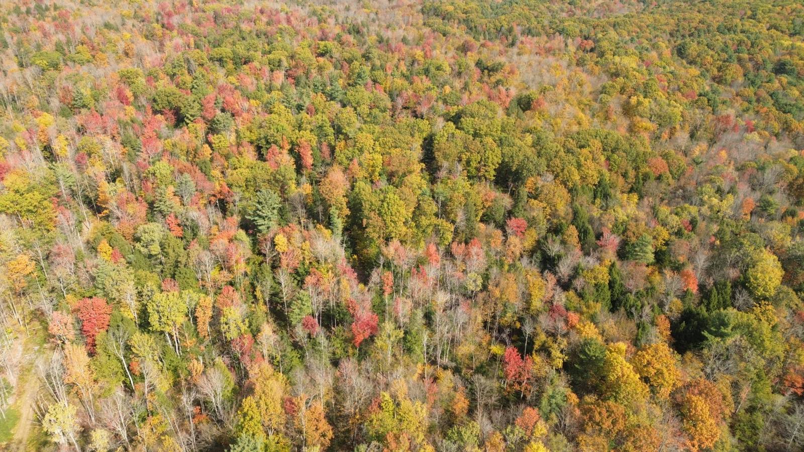 #1 photo, 2006 State Hwy 29a, Gloversville , NY 12078