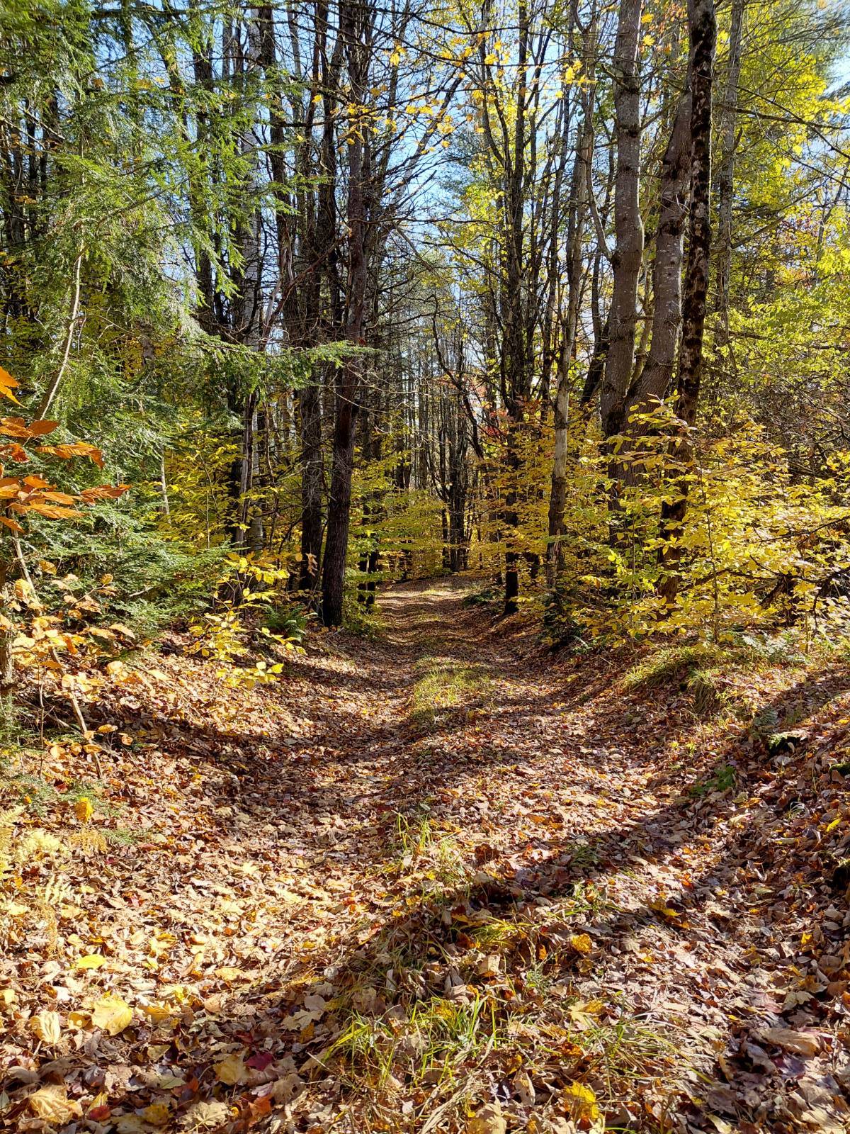 #57 photo, 454 Lily Lake Road, Gloversville , NY 12078