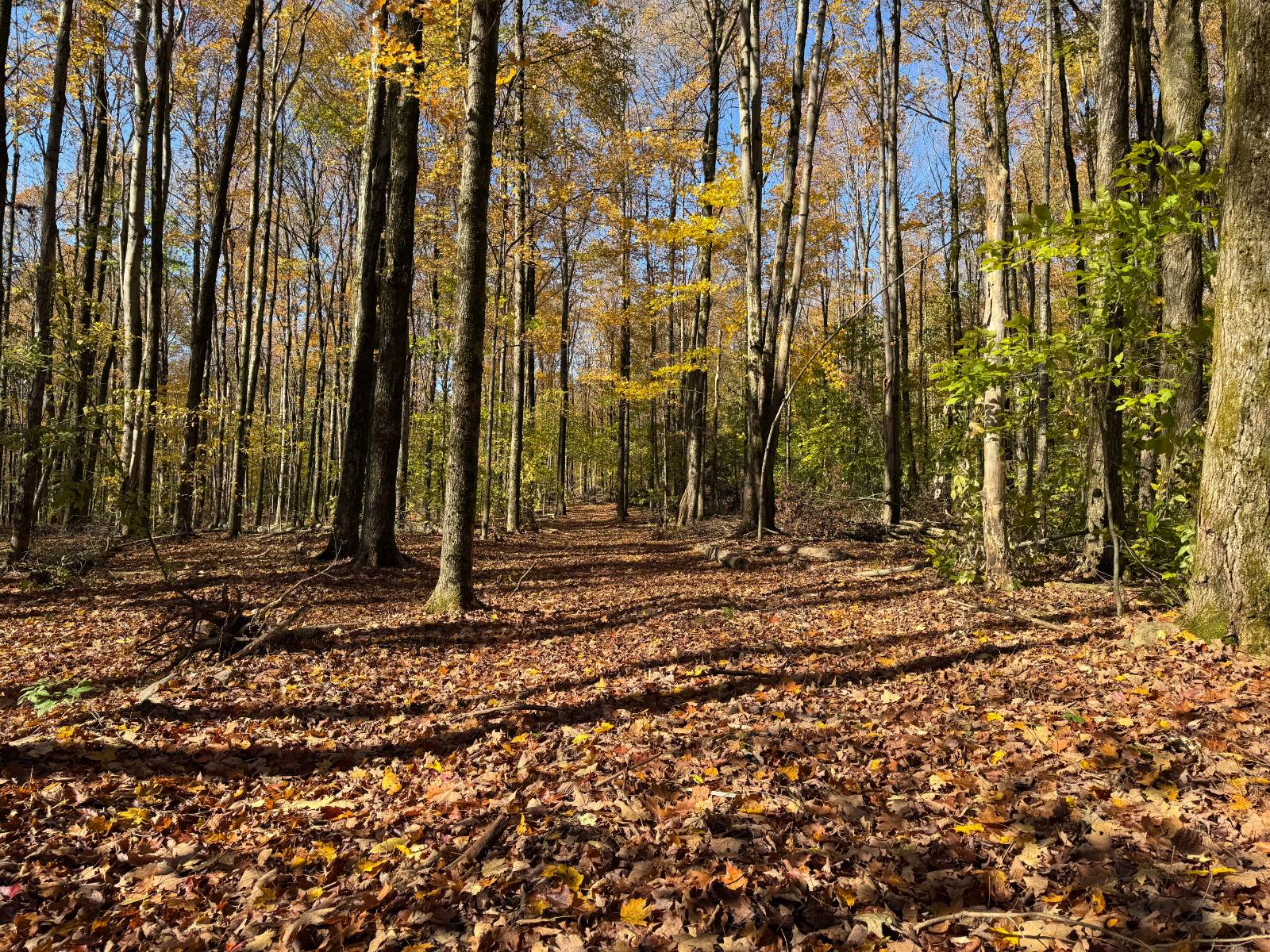 #10 photo, 00 Davidson Rd, Lee , NY 13440