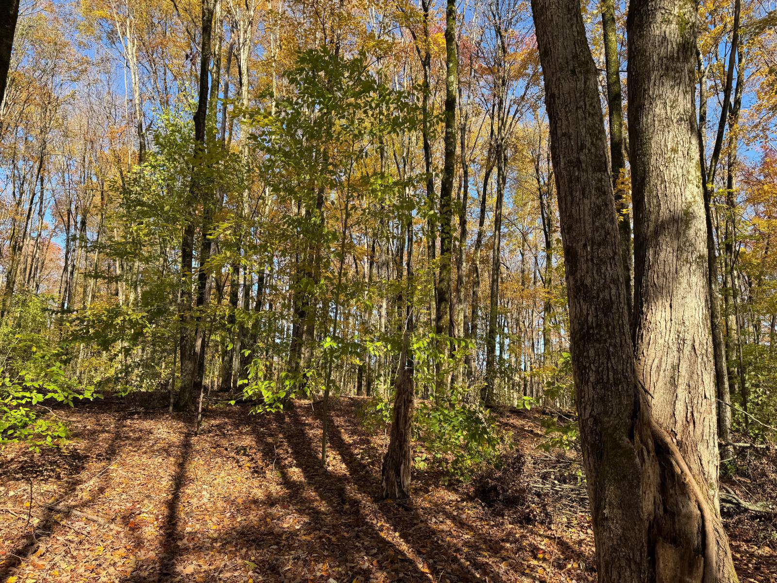 #11 photo, 00 Davidson Rd, Lee , NY 13440