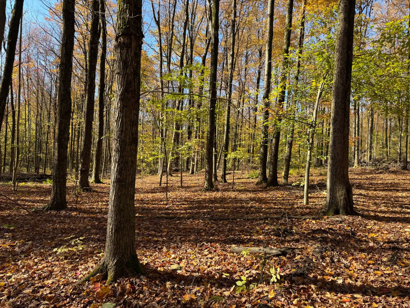 #12 photo, 00 Davidson Rd, Lee , NY 13440