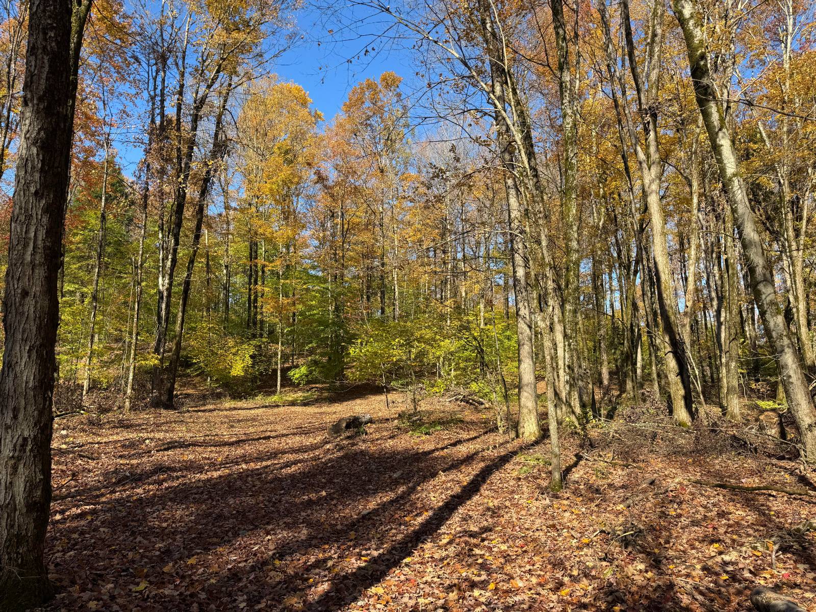 #13 photo, 00 Davidson Rd, Lee , NY 13440