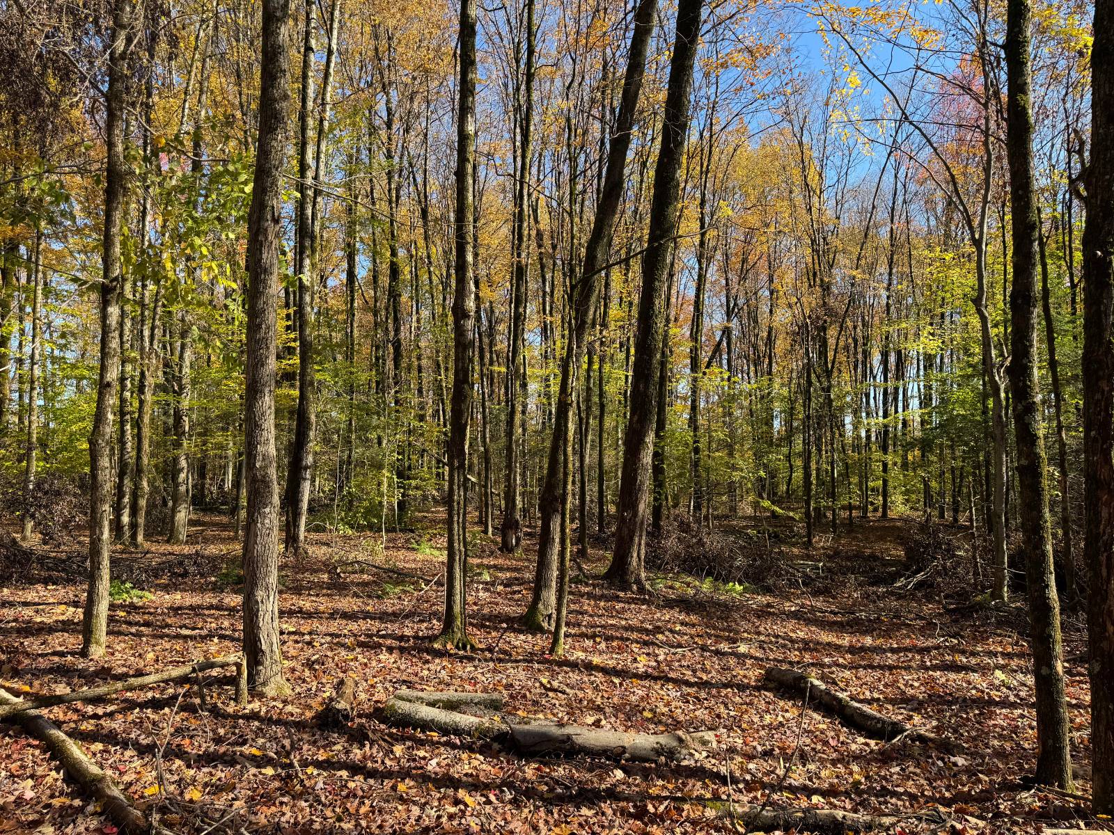 #14 photo, 00 Davidson Rd, Lee , NY 13440