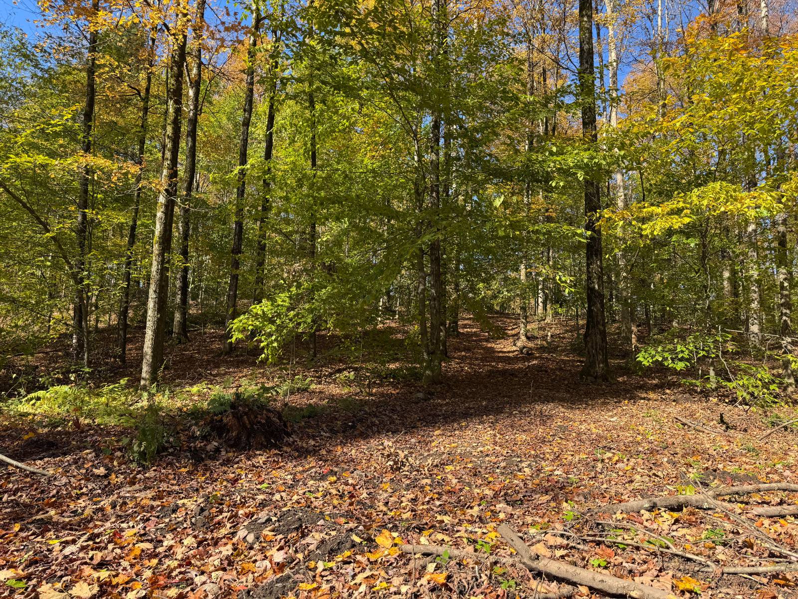 #15 photo, 00 Davidson Rd, Lee , NY 13440