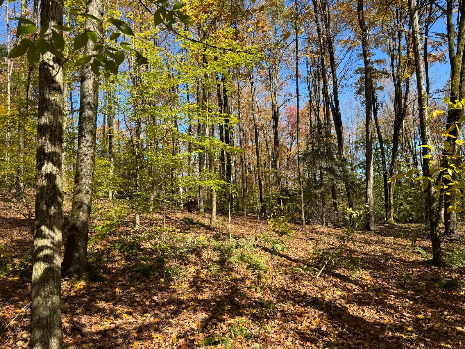 #16 photo, 00 Davidson Rd, Lee , NY 13440