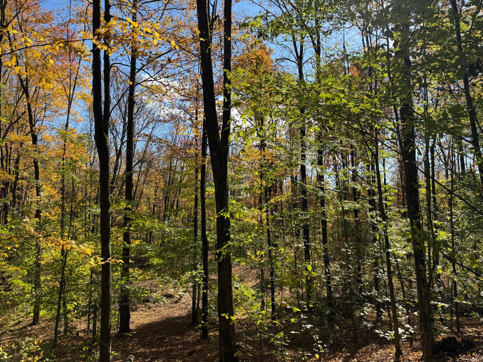 #17 photo, 00 Davidson Rd, Lee , NY 13440