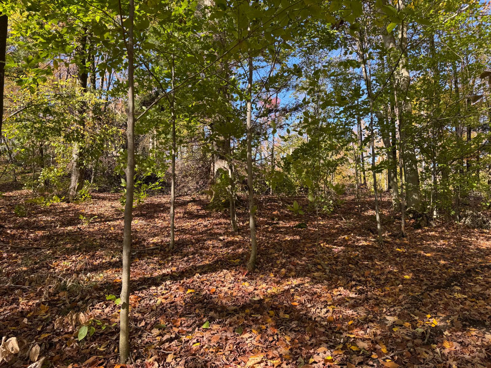 #18 photo, 00 Davidson Rd, Lee , NY 13440