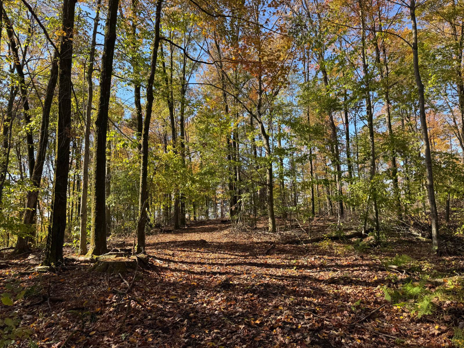 #19 photo, 00 Davidson Rd, Lee , NY 13440