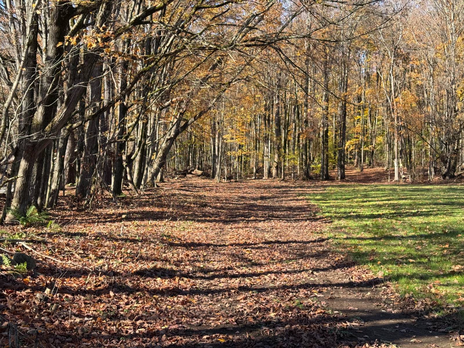 #2 photo, 00 Davidson Rd, Lee , NY 13440