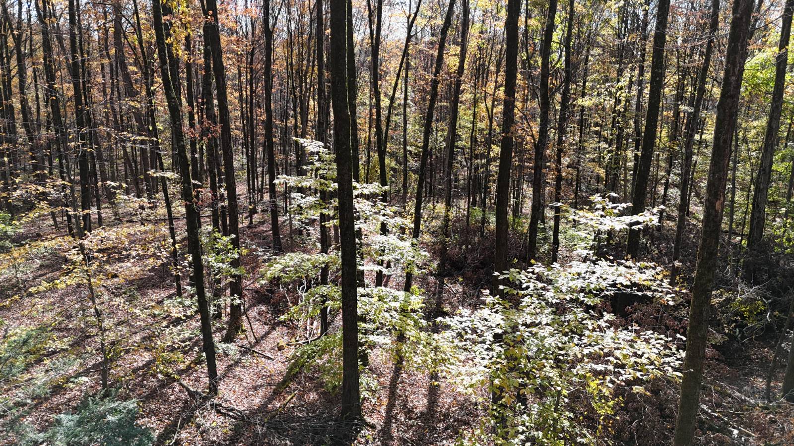 #20 photo, 00 Davidson Rd, Lee , NY 13440