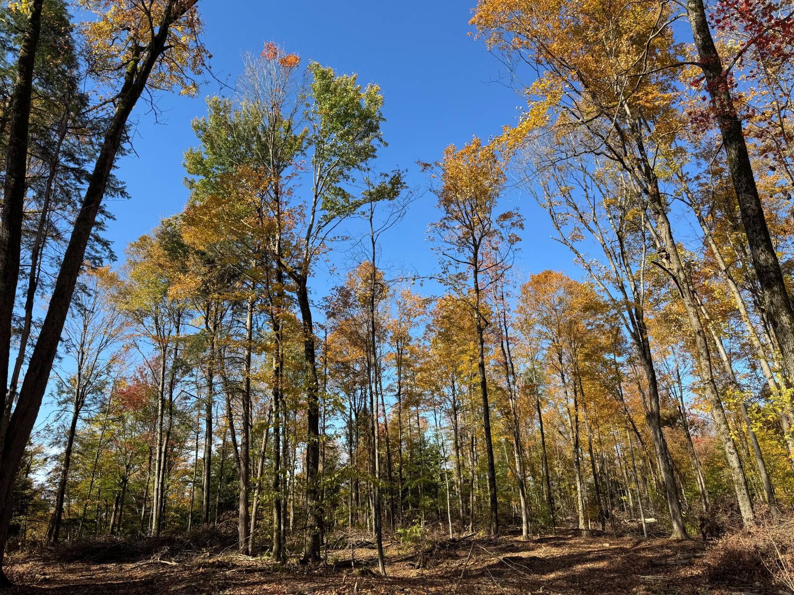 #21 photo, 00 Davidson Rd, Lee , NY 13440