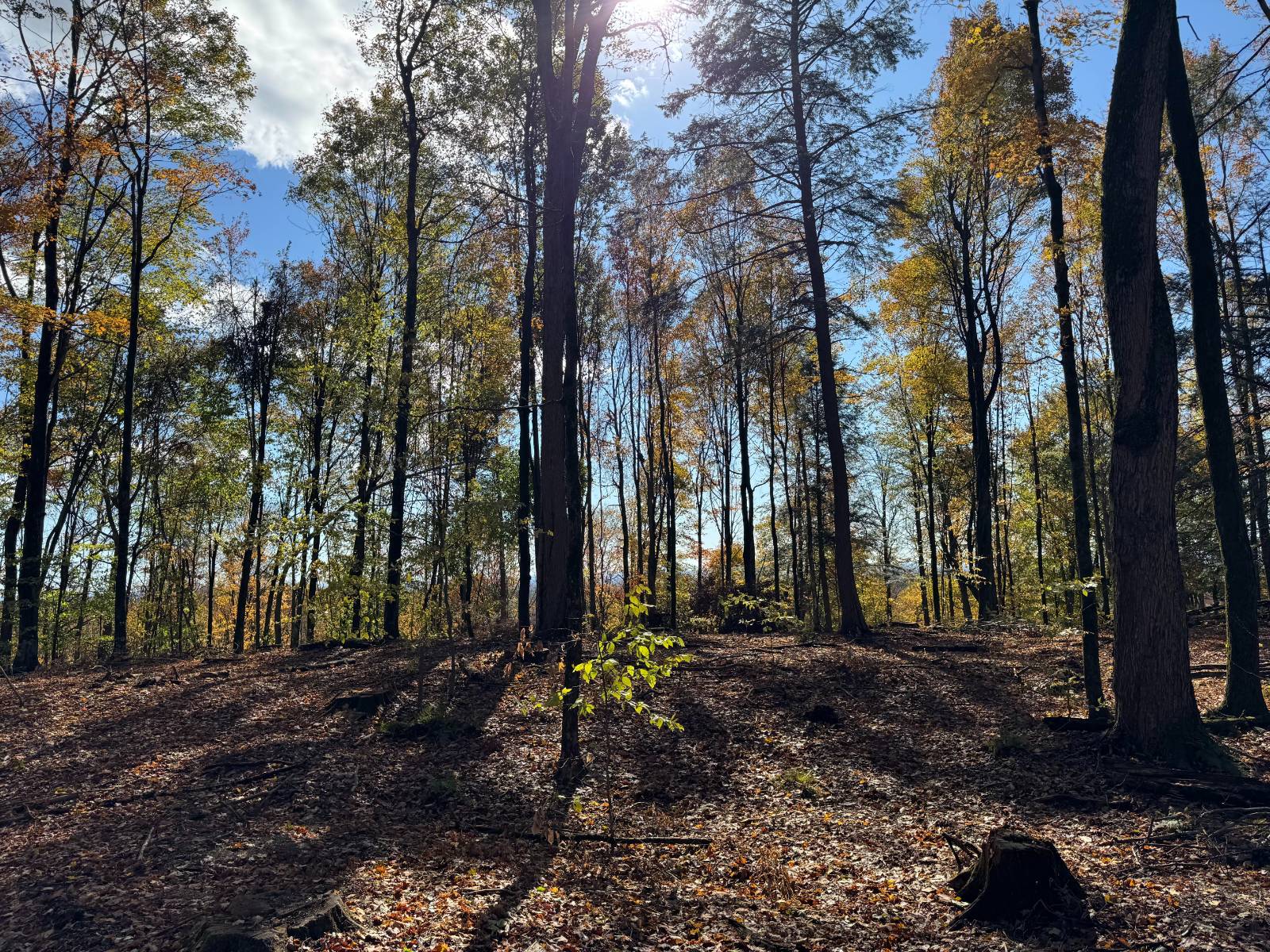 #22 photo, 00 Davidson Rd, Lee , NY 13440