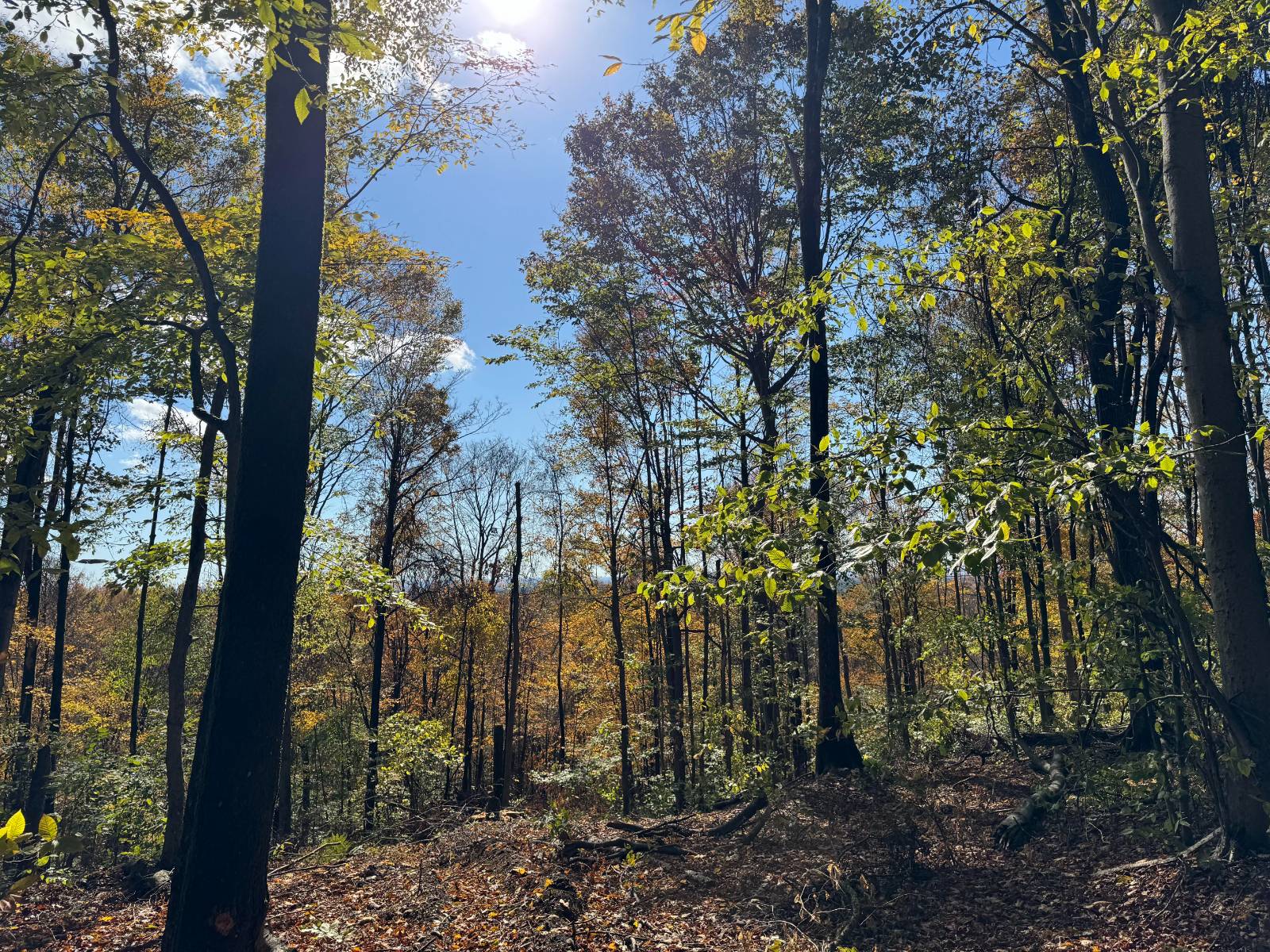 #23 photo, 00 Davidson Rd, Lee , NY 13440