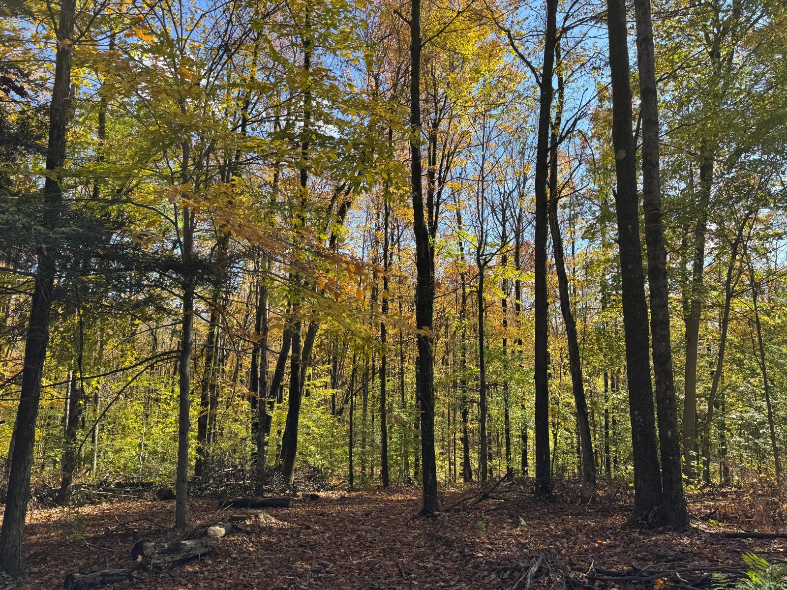 #24 photo, 00 Davidson Rd, Lee , NY 13440