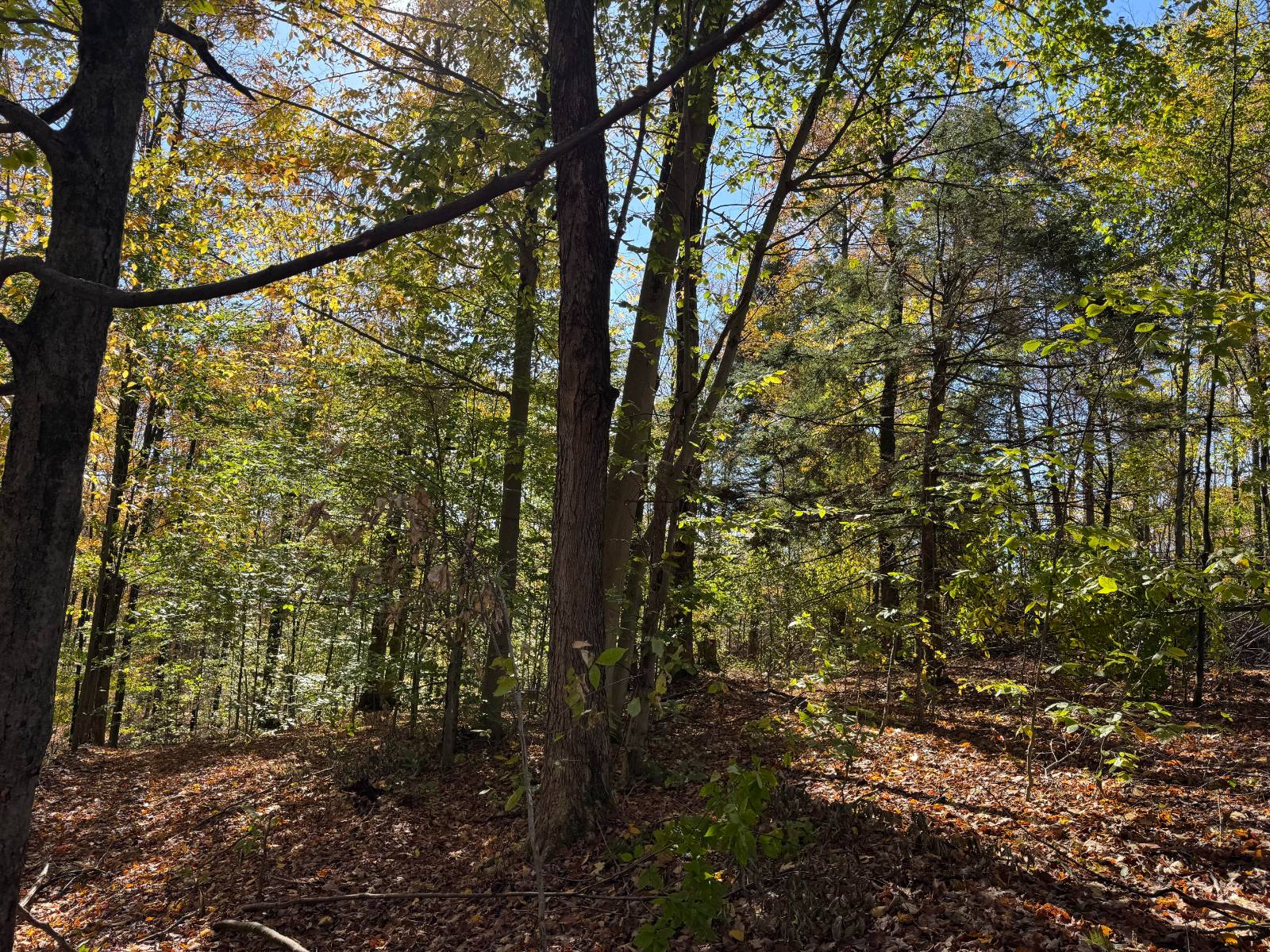 #25 photo, 00 Davidson Rd, Lee , NY 13440